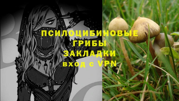 MESCALINE Няндома