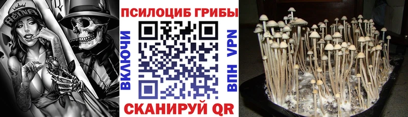 Псилоцибиновые грибы MAGIC MUSHROOMS  Кувшиново 